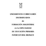 Lineamientos Curriculares Diversificados de Formación Magisterial en la Especialidad de Educación Primaria Intercultural Bilingüe