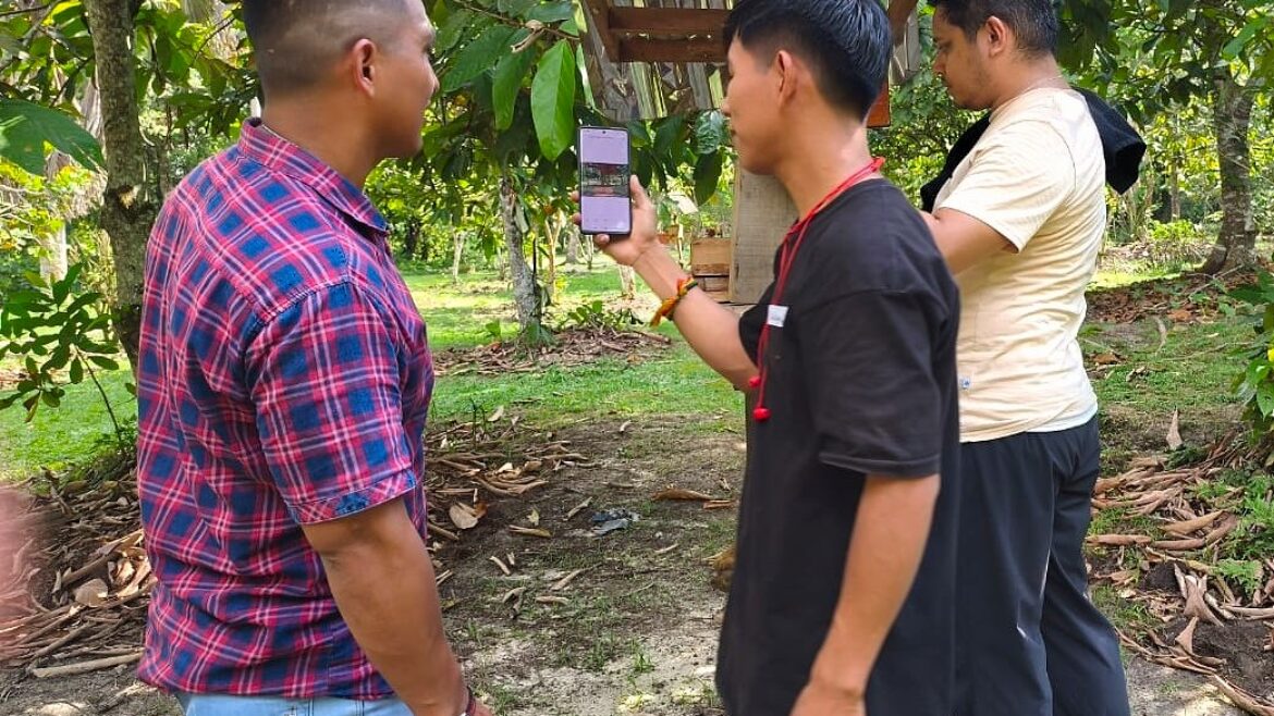 WhatsApp Image 2025-08-29 at 9.56.04 AM